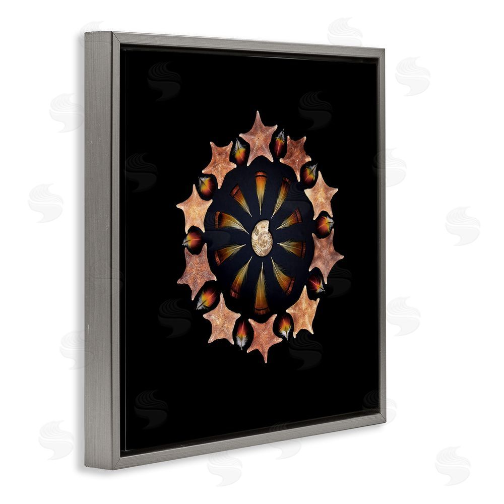 Beth Adoette Nautical Nature Arrangement Gray Floating Frame Canvas Wall Art Print