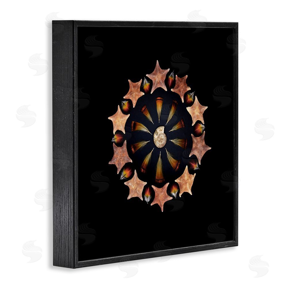 Beth Adoette Nautical Nature Arrangement Black Framed Giclee Wall Art Print