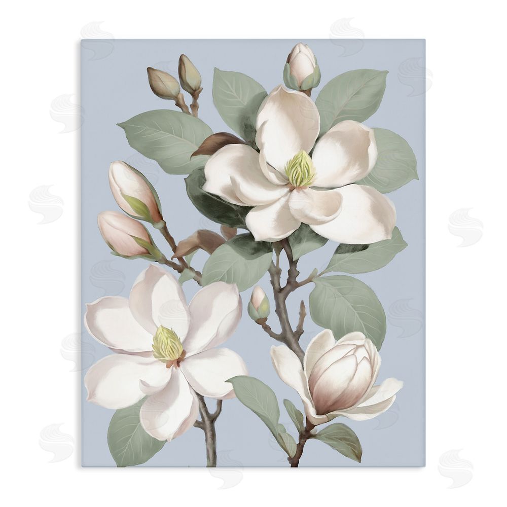 Elizabeth Medley Magnolias on Soft Blue Stretched Canvas Wall Art Print