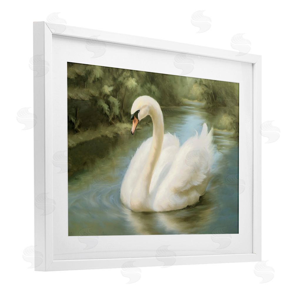 Elizabeth Medley Beautiful Swan Floating Gracefully White Framed Print Under Glass Wall Art