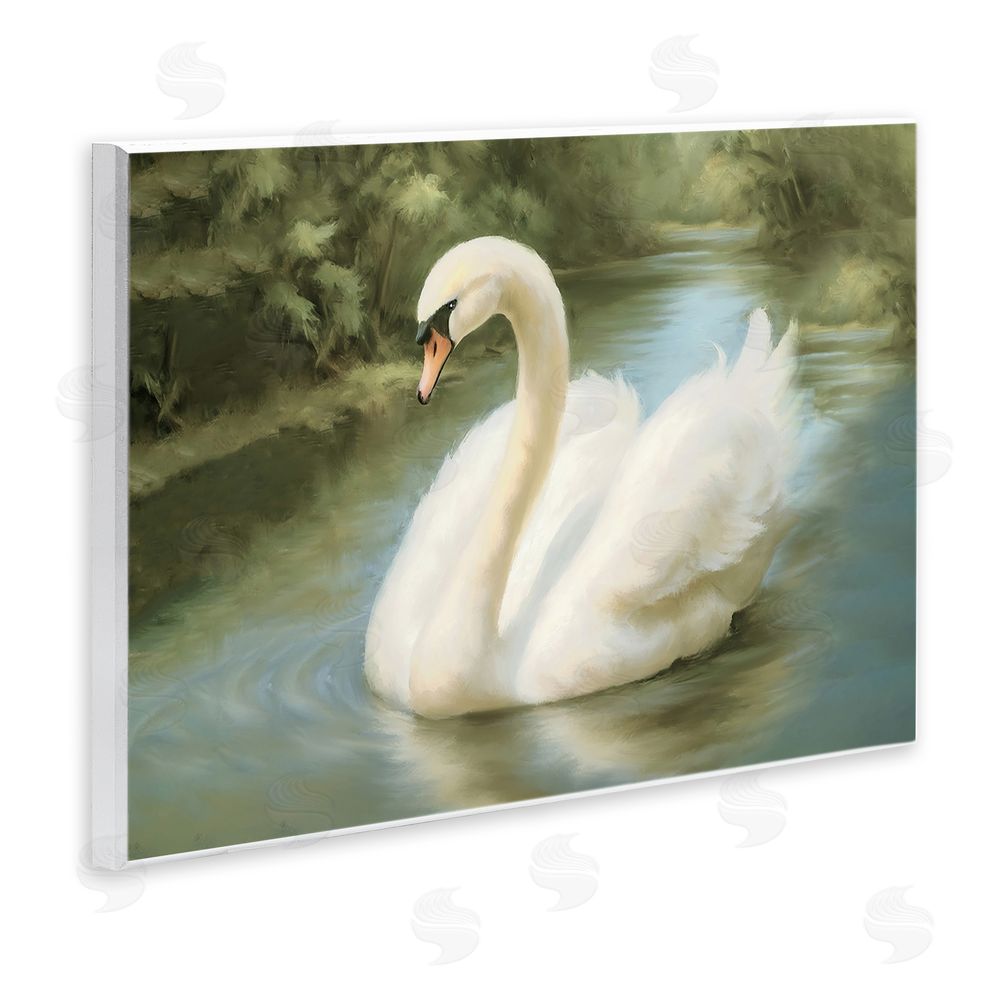Elizabeth Medley Beautiful Swan Floating Gracefully Wooden Wall Plaque Art Print