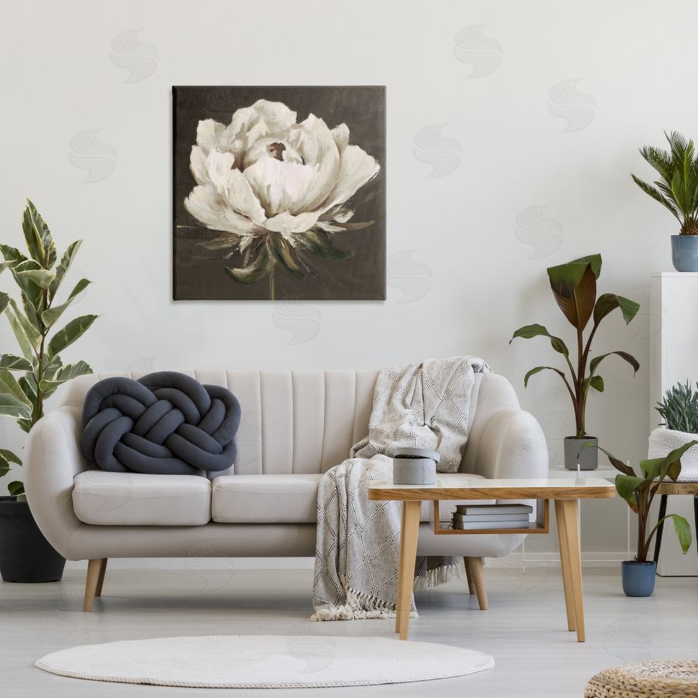 Patricia Pinto Pretty Rose Bloom on Brown Stretched Canvas Wall Art in Room