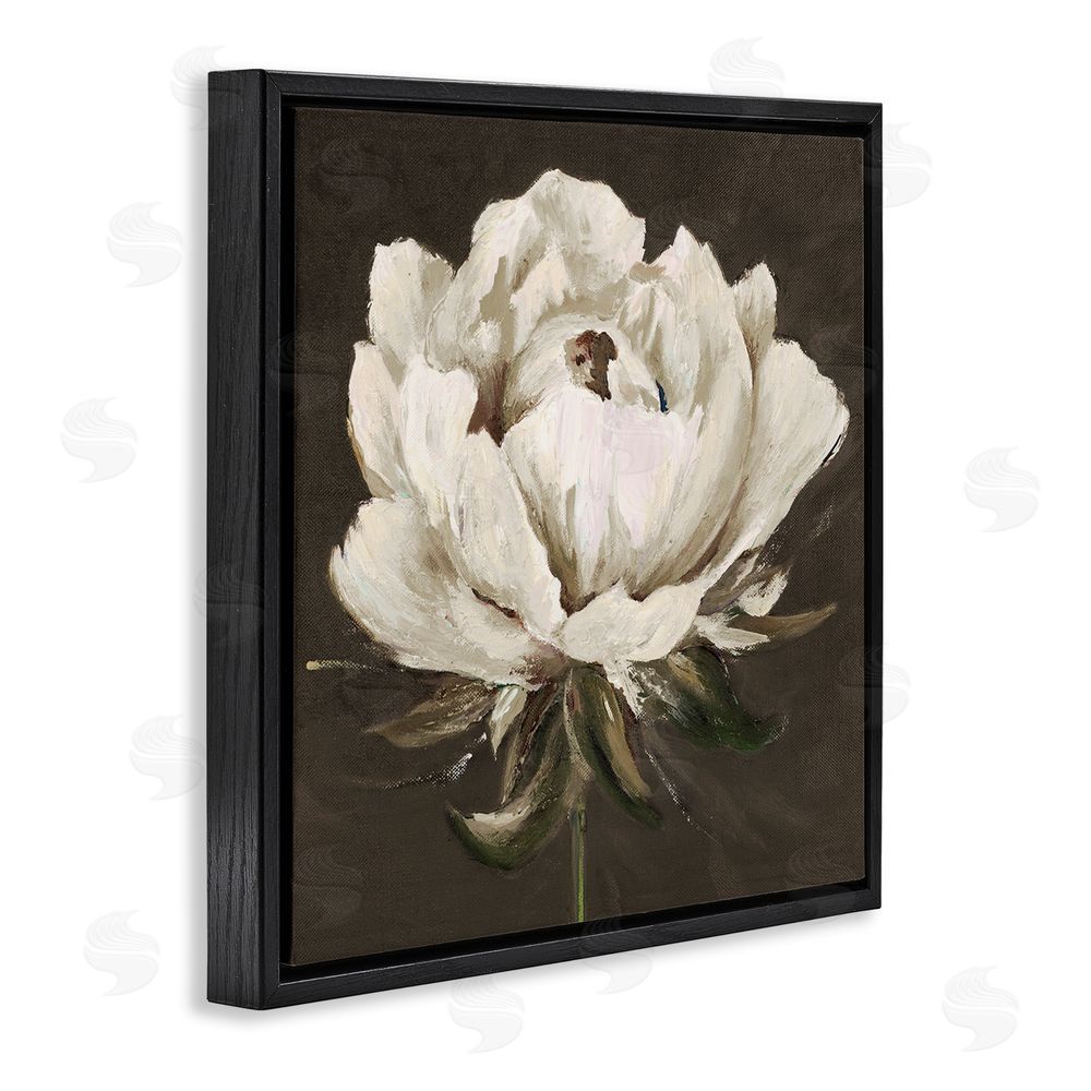 Patricia Pinto Pretty Rose Bloom on Brown Black Floating Frame Canvas Wall Art Print
