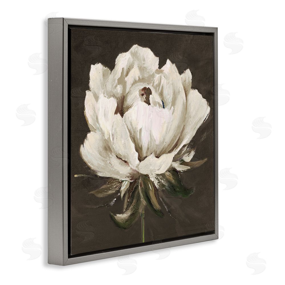 Patricia Pinto Pretty Rose Bloom on Brown Gray Floating Frame Canvas Wall Art Print