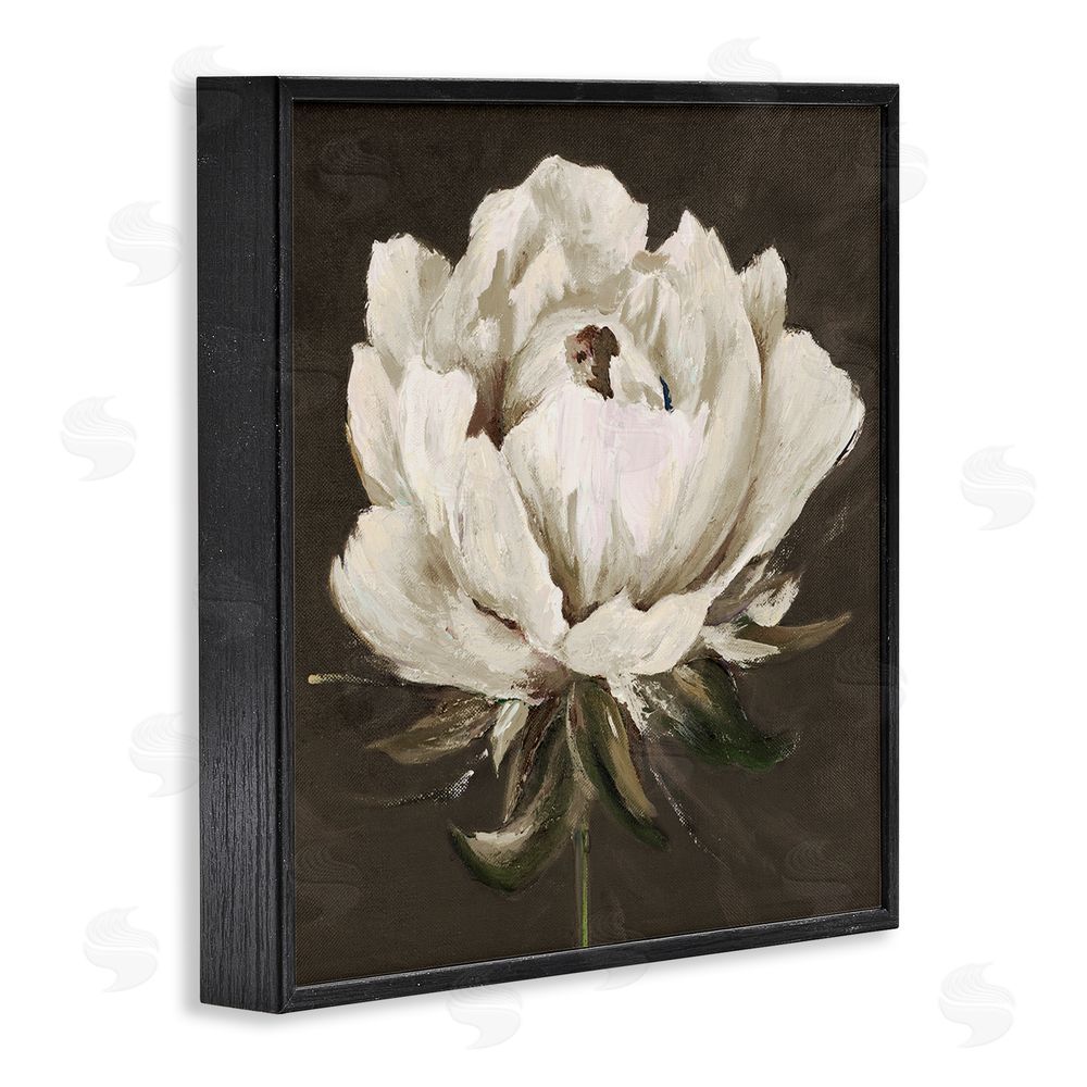 Patricia Pinto Pretty Rose Bloom on Brown Black Framed Giclee Wall Art Print
