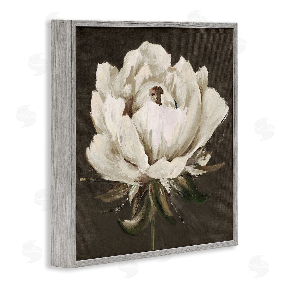 Patricia Pinto Pretty Rose Bloom on Brown Gray Framed Giclee Wall Art Print