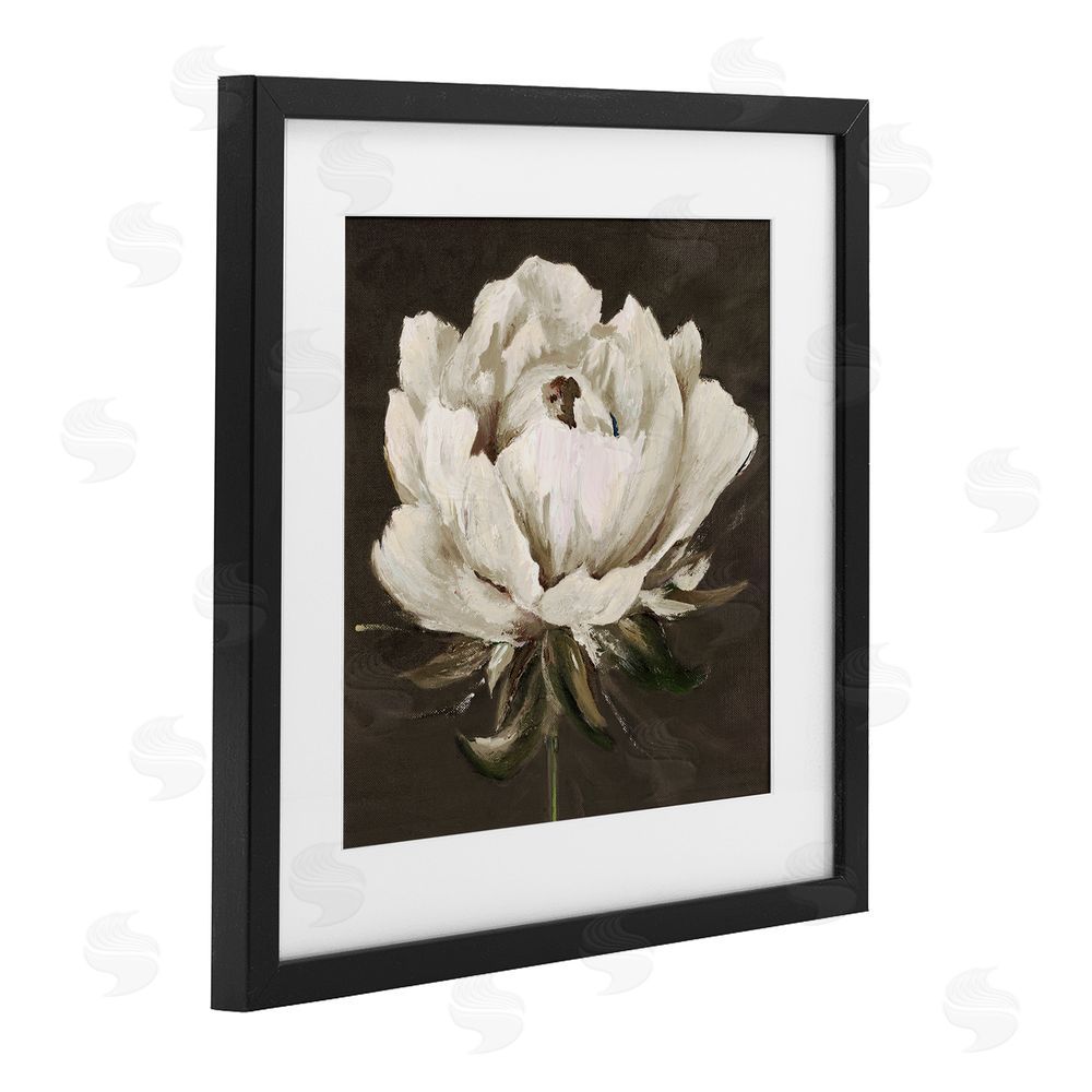 Patricia Pinto Pretty Rose Bloom on Brown Black Framed Print Under Glass Wall Art