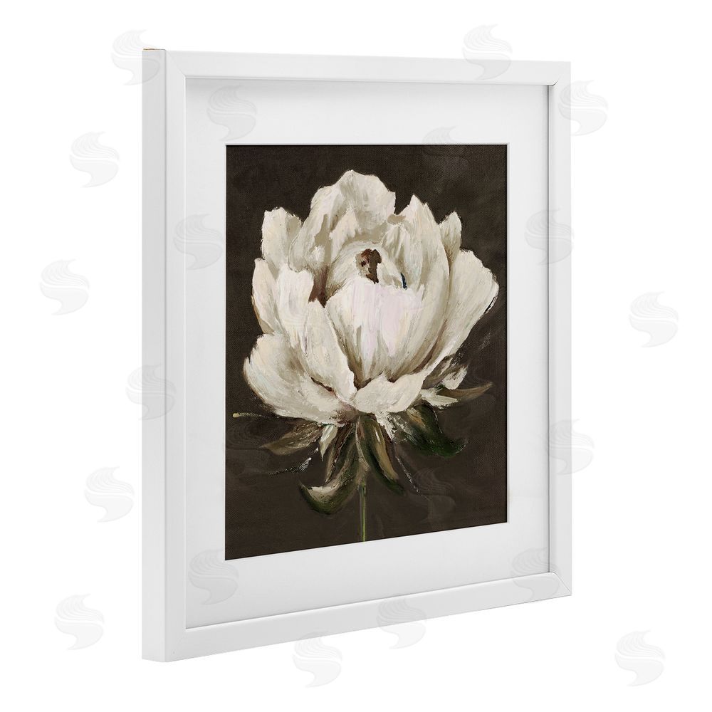 Patricia Pinto Pretty Rose Bloom on Brown White Framed Print Under Glass Wall Art