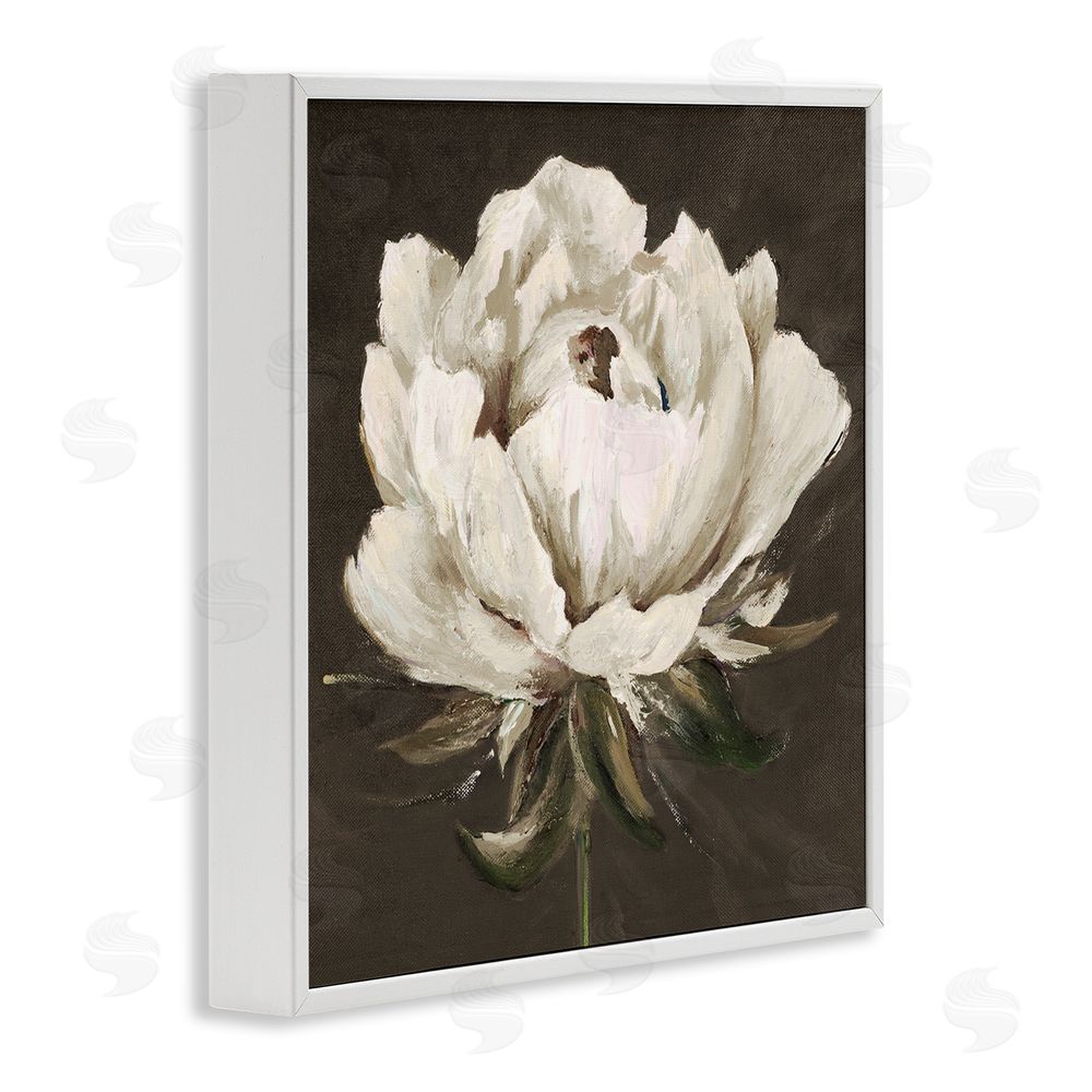 Patricia Pinto Pretty Rose Bloom on Brown White Framed Giclee Wall Art Print