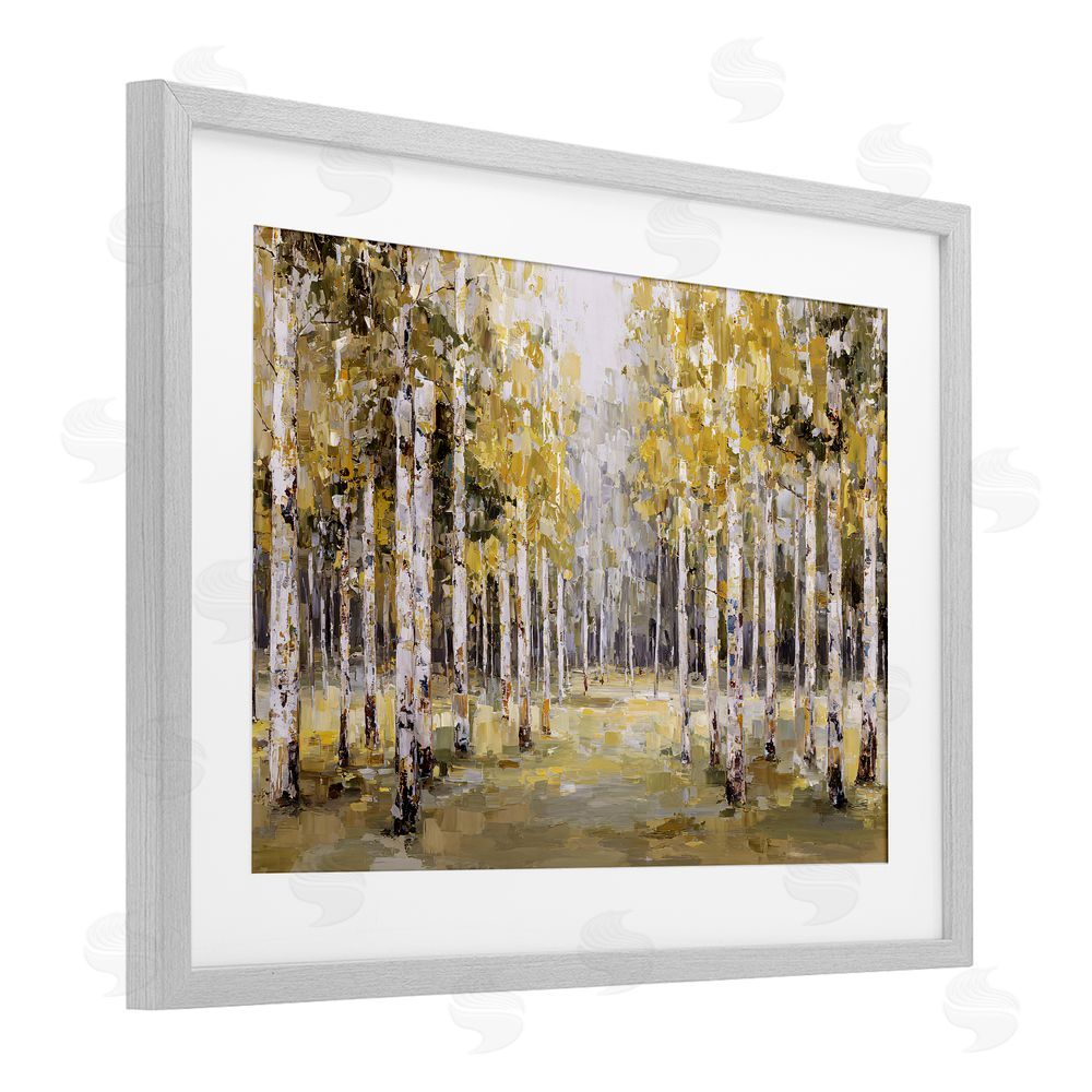 Jacky Ngan Impressionist Birch Trees & Fall Leaves Gray Framed Print Under Glass Wall Art