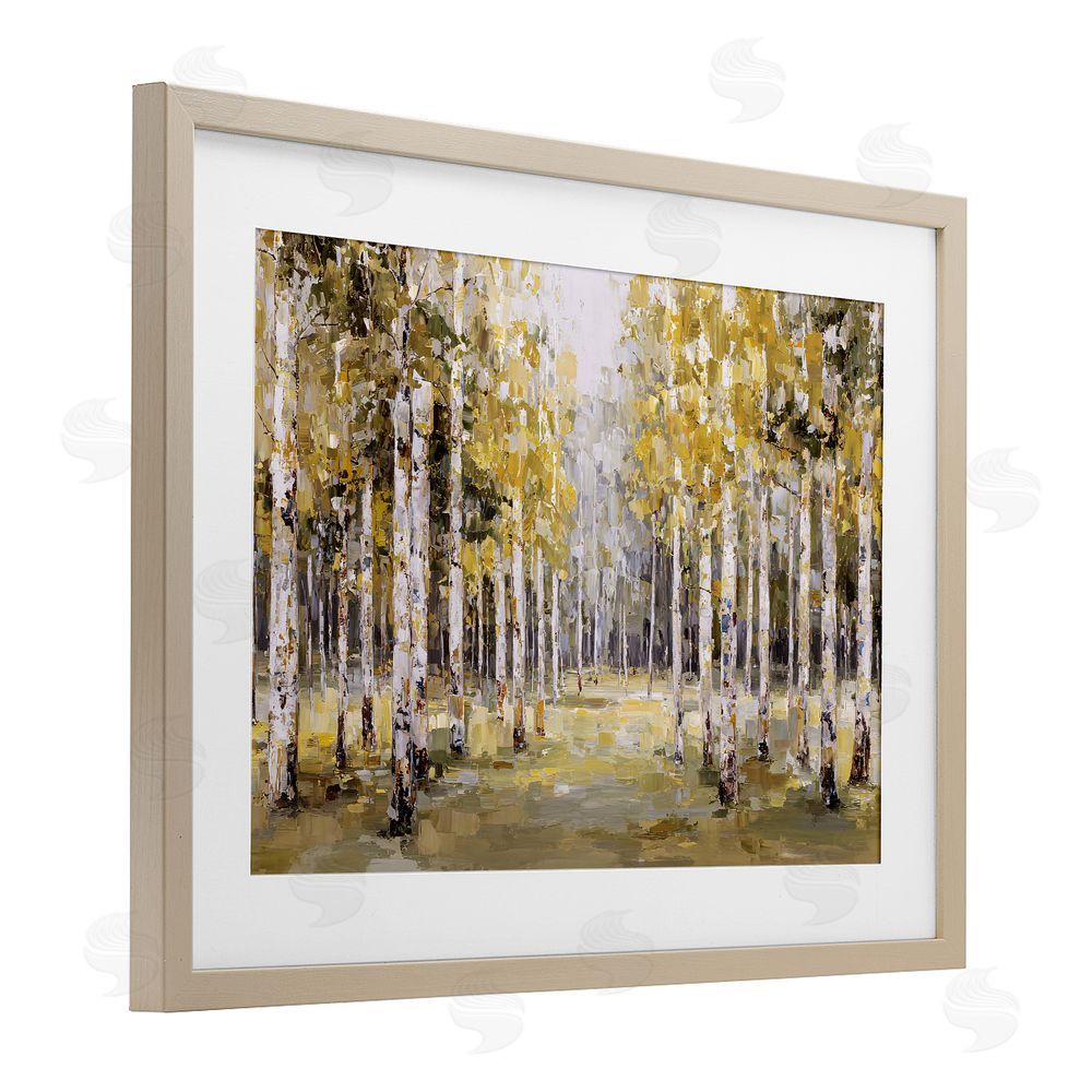Jacky Ngan Impressionist Birch Trees & Fall Leaves Brown Framed Print Under Glass Wall Art