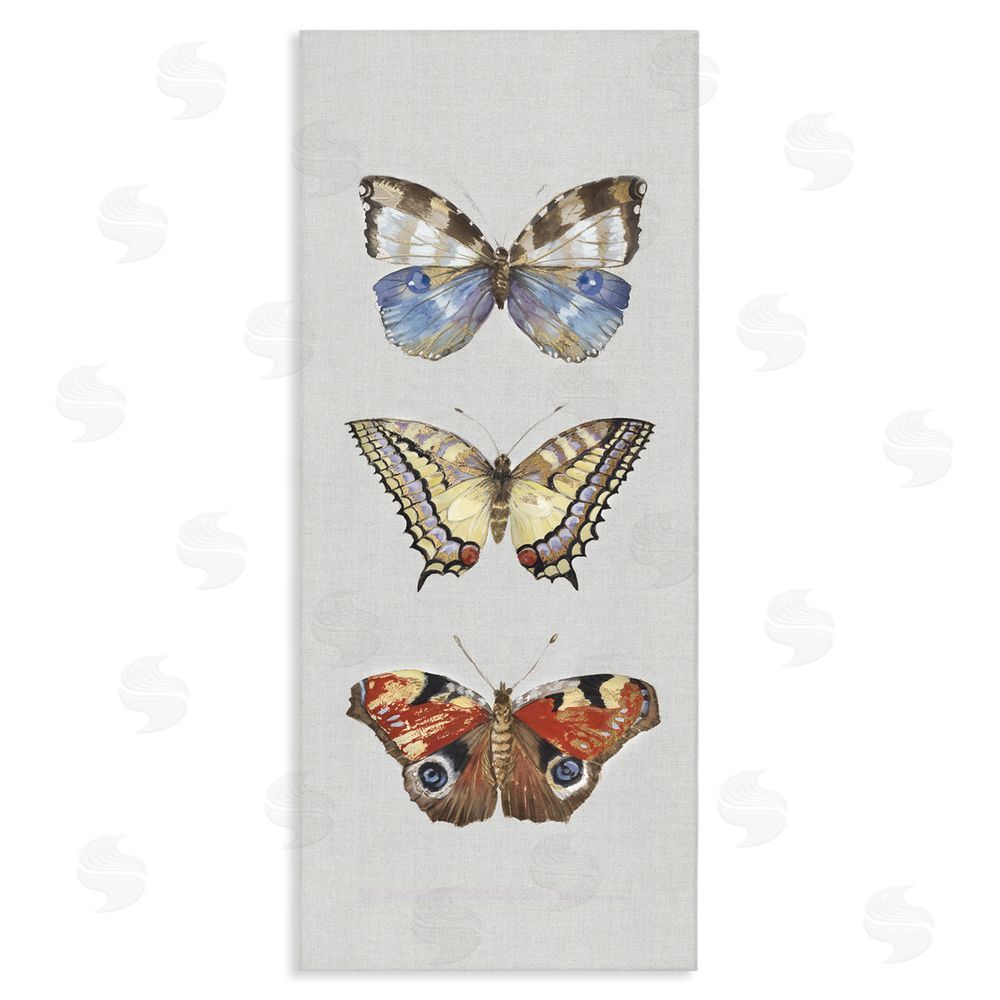 Maya Woods Butterfly Trio Symmetry Stretched Canvas Wall Art Print