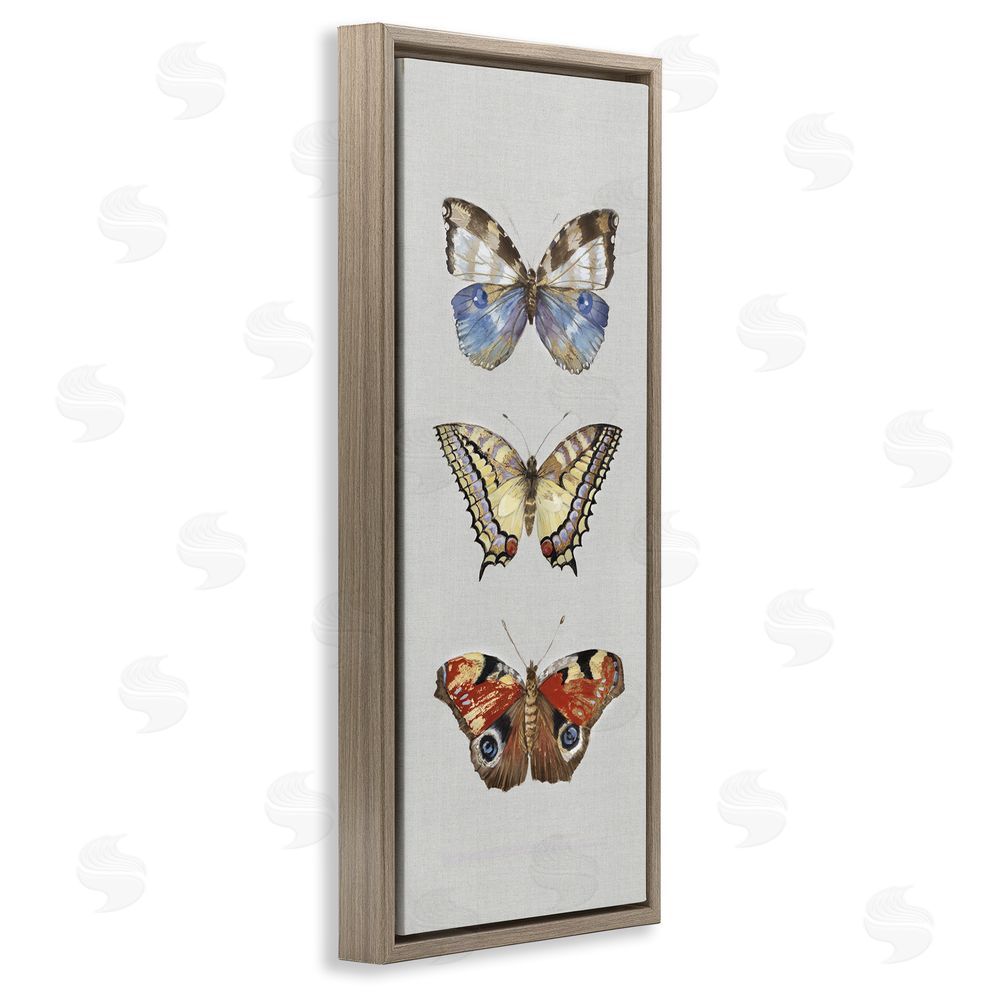 Maya Woods Butterfly Trio Symmetry Brown Floating Frame Canvas Wall Art Print