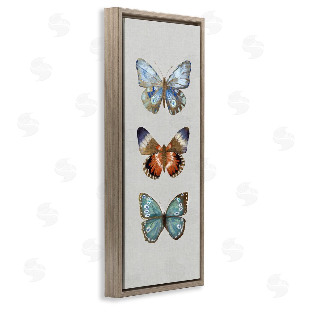 Maya Woods Trio of Wild Butterflies Brown Floating Frame Canvas Wall Art Print
