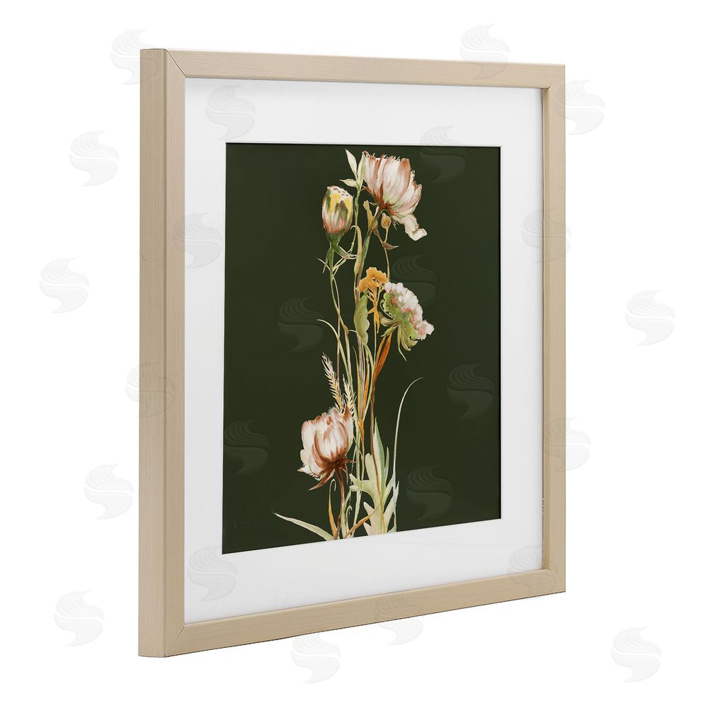 Liz Jardine Serene Wildflower Stem on Olive Brown Framed Print Under Glass Wall Art