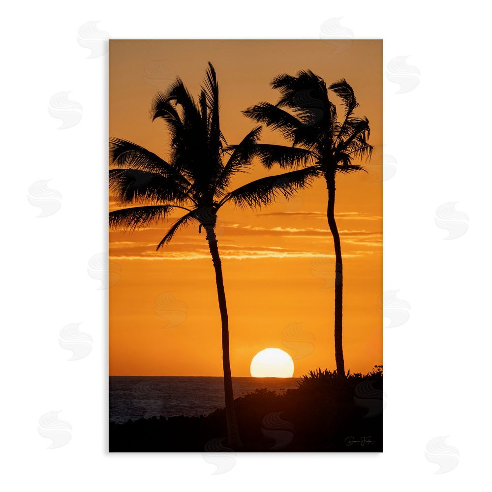 Dennis Frates Sunset Through Palm Trees Stretched Canvas Wall Art Print