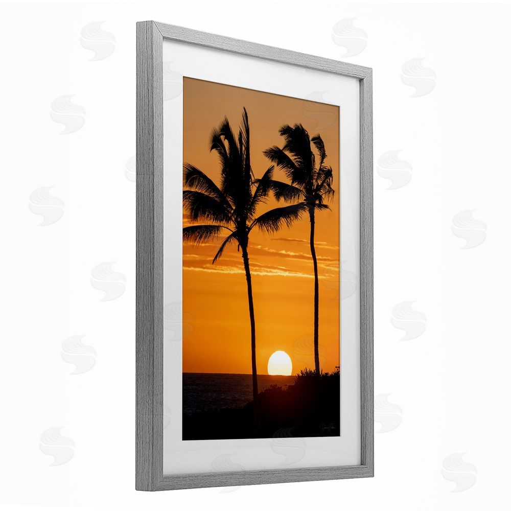 Dennis Frates Sunset Through Palm Trees Gray Framed Print Under Glass Wall Art