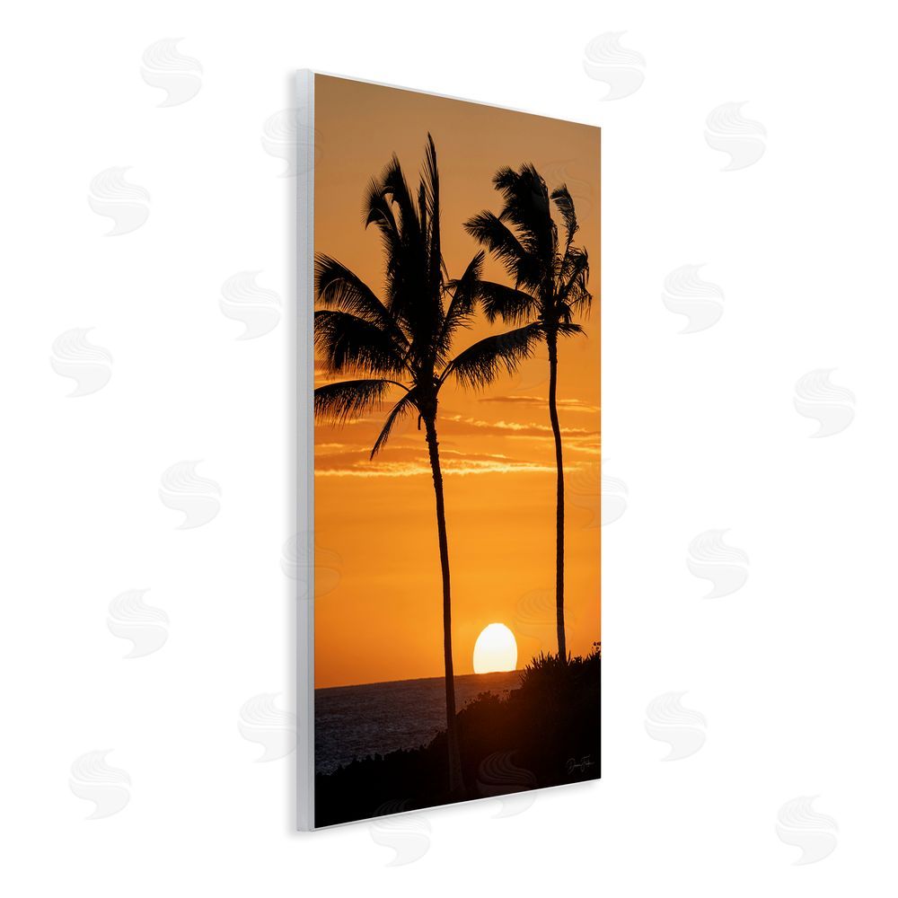 Dennis Frates Sunset Through Palm Trees Wooden Wall Plaque Art Print