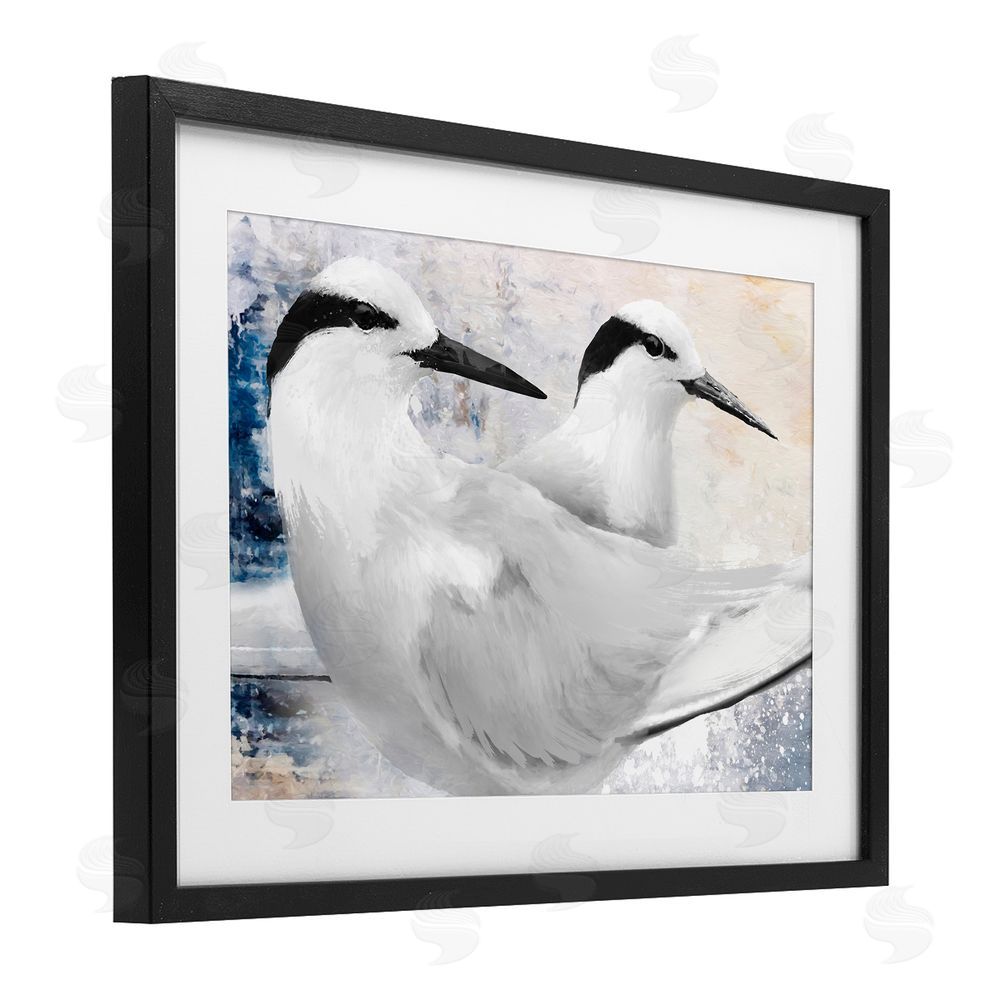 Porter Hastings Black Naped Tern Black Framed Print Under Glass Wall Art