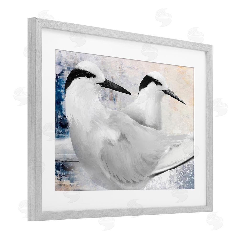 Porter Hastings Black Naped Tern Gray Framed Print Under Glass Wall Art