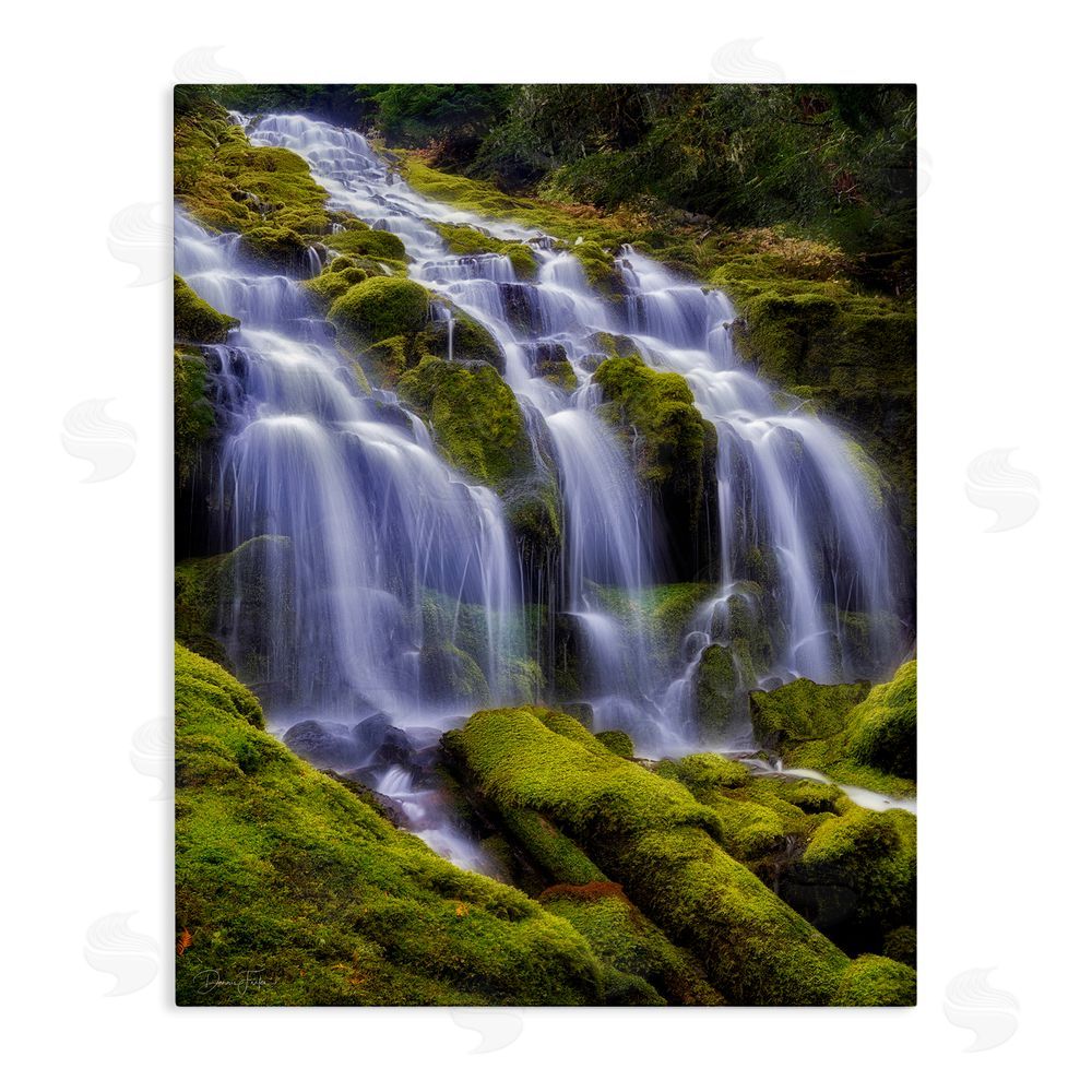 Dennis Frates Upper Proxy Falls Stretched Canvas Wall Art Print