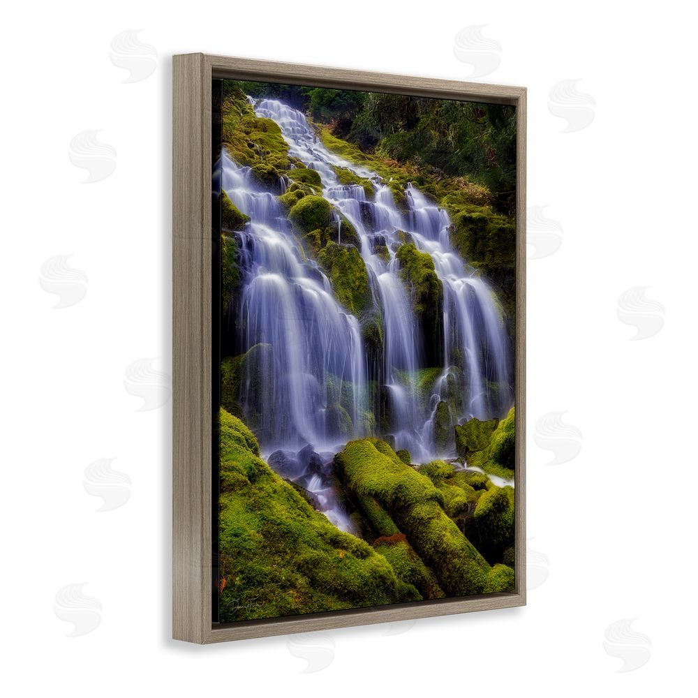 Dennis Frates Upper Proxy Falls Brown Floating Frame Canvas Wall Art Print