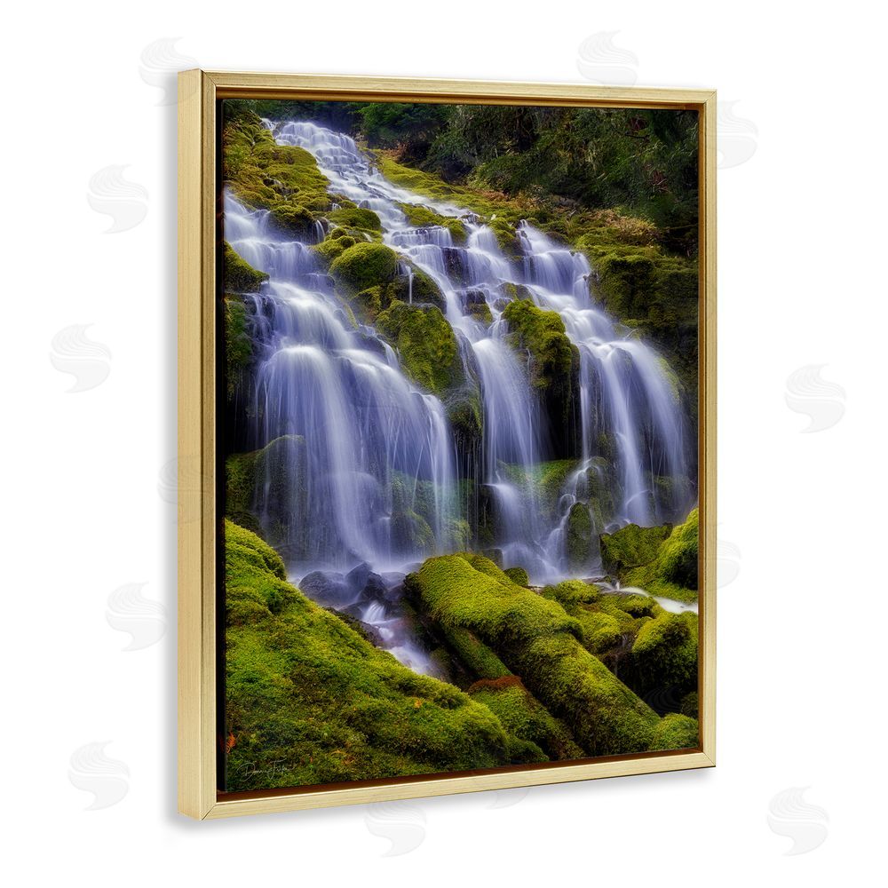 Dennis Frates Upper Proxy Falls Gold Floating Frame Canvas Wall Art Print