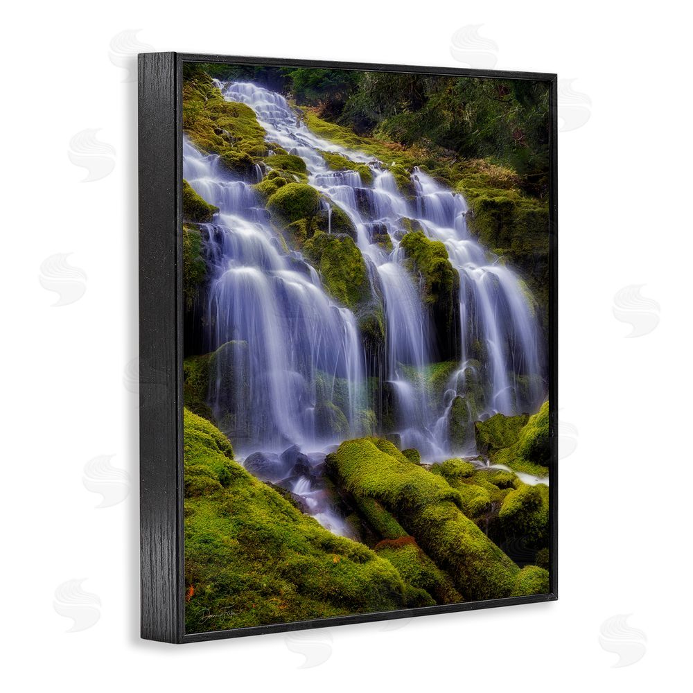 Dennis Frates Upper Proxy Falls Black Framed Giclee Wall Art Print