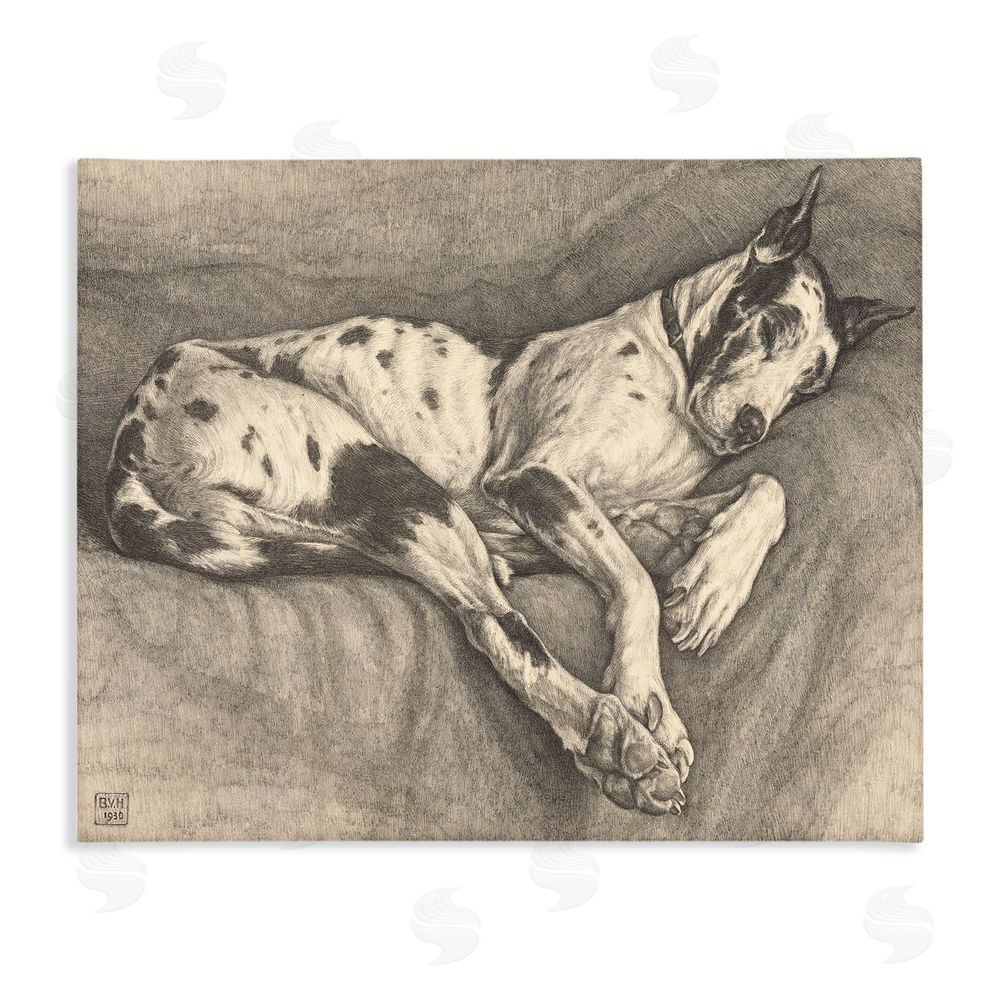 Bertha Van Hasselt Sleeping Hound Drawing Stretched Canvas Wall Art Print
