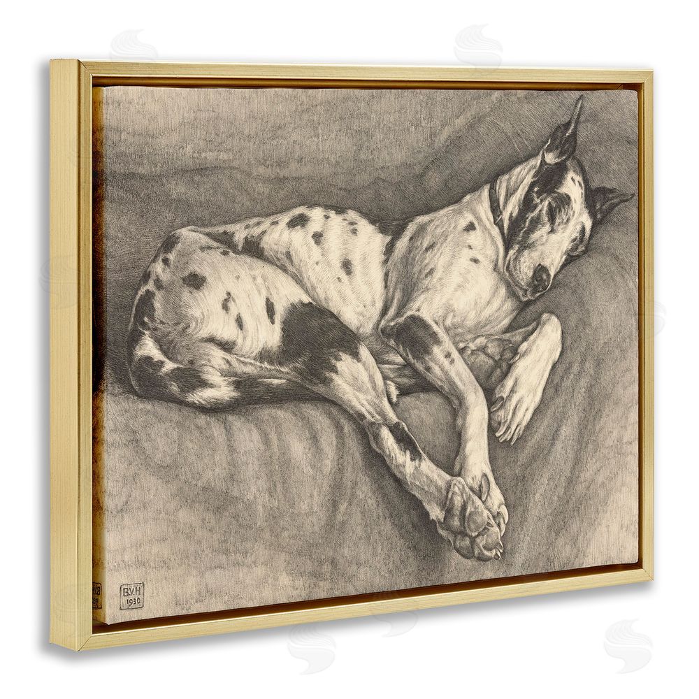Bertha Van Hasselt Sleeping Hound Drawing Gold Floating Frame Canvas Wall Art Print