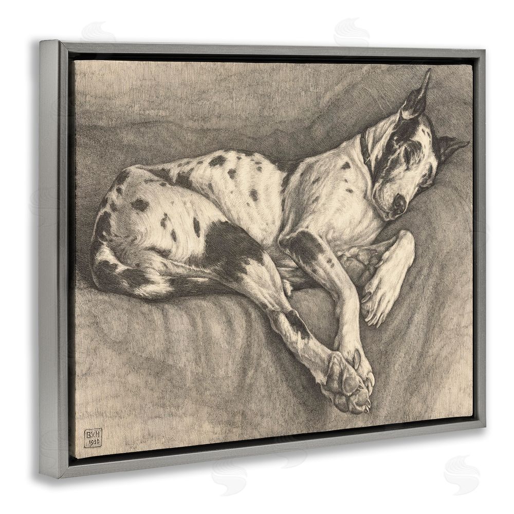Bertha Van Hasselt Sleeping Hound Drawing Gray Floating Frame Canvas Wall Art Print