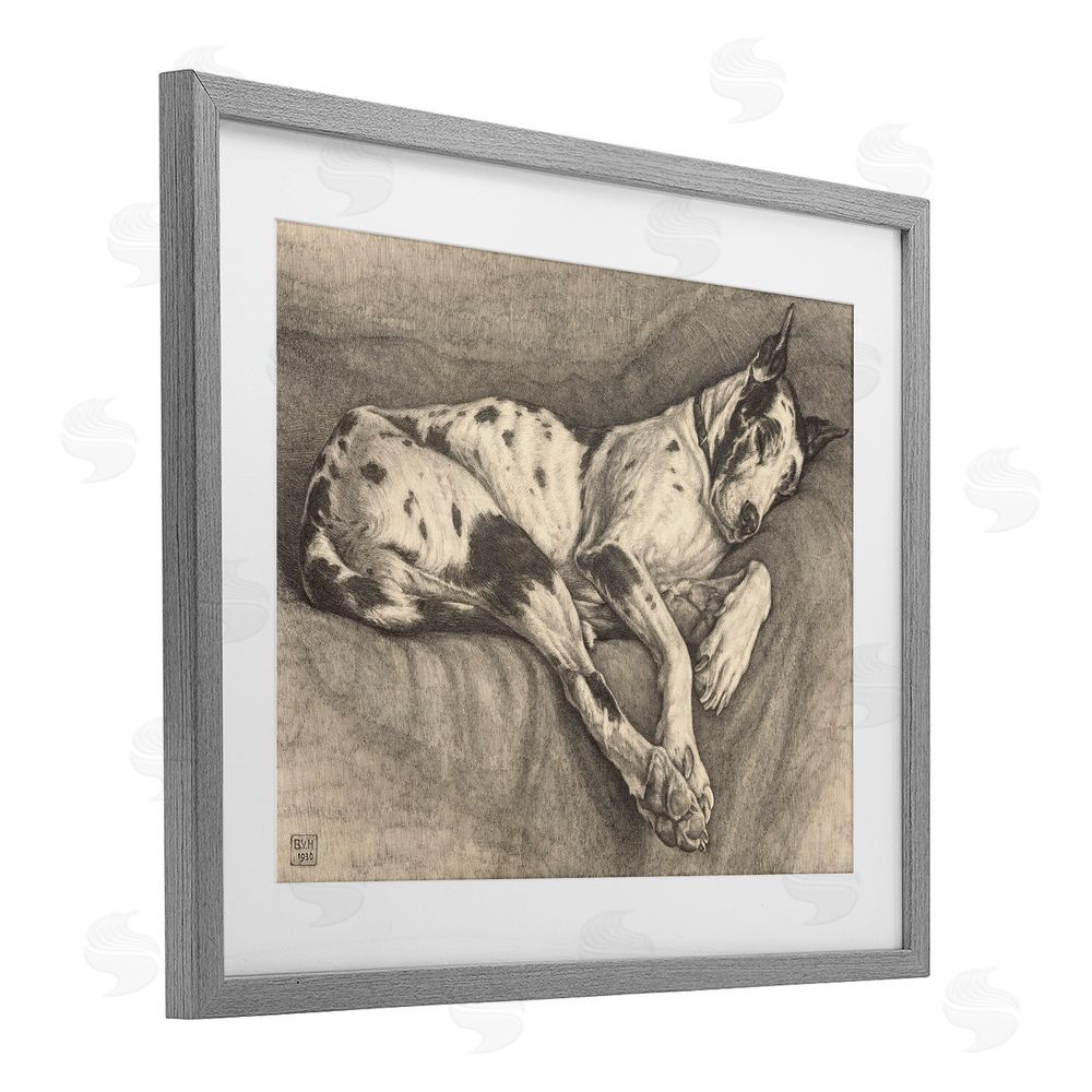 Bertha Van Hasselt Sleeping Hound Drawing Gray Framed Print Under Glass Wall Art