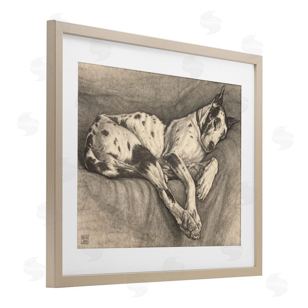 Bertha Van Hasselt Sleeping Hound Drawing Brown Framed Print Under Glass Wall Art
