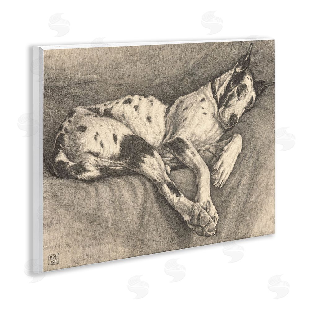 Bertha Van Hasselt Sleeping Hound Drawing Wooden Wall Plaque Art Print