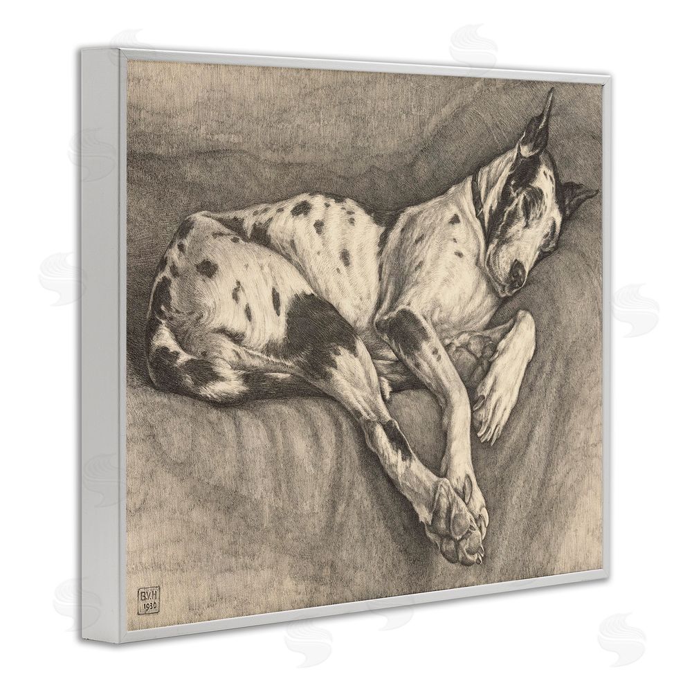 Bertha Van Hasselt Sleeping Hound Drawing White Framed Giclee Wall Art Print