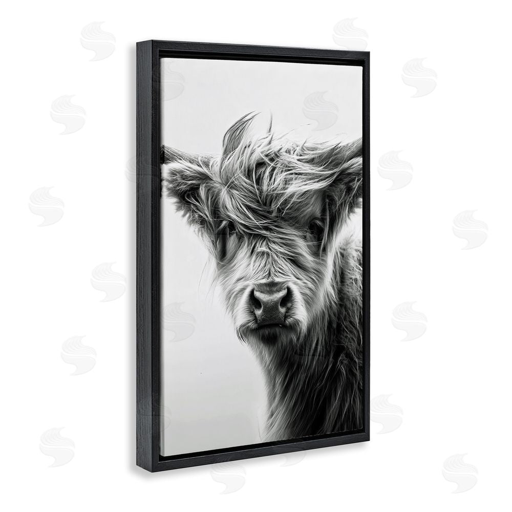 Tina LeCour Windblown Young Highland Calf Black Floating Frame Canvas Wall Art Print