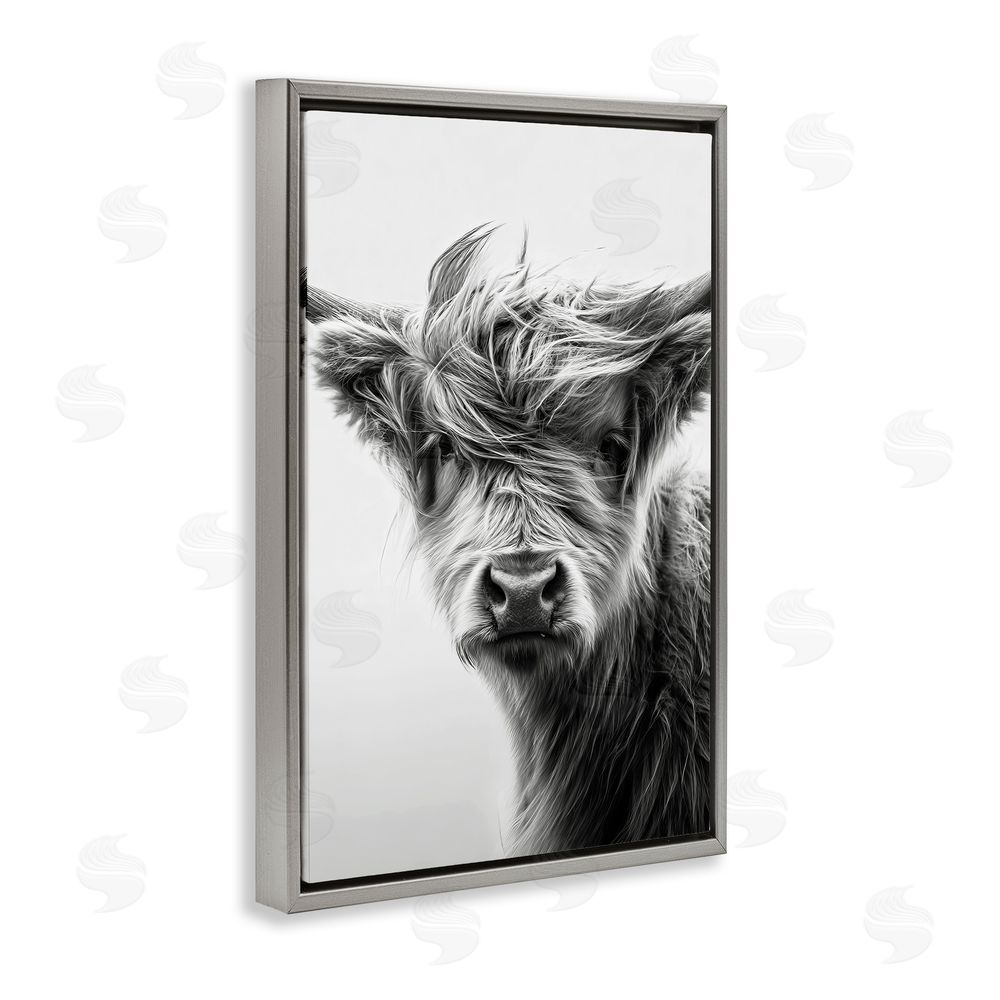 Tina LeCour Windblown Young Highland Calf Gray Floating Frame Canvas Wall Art Print