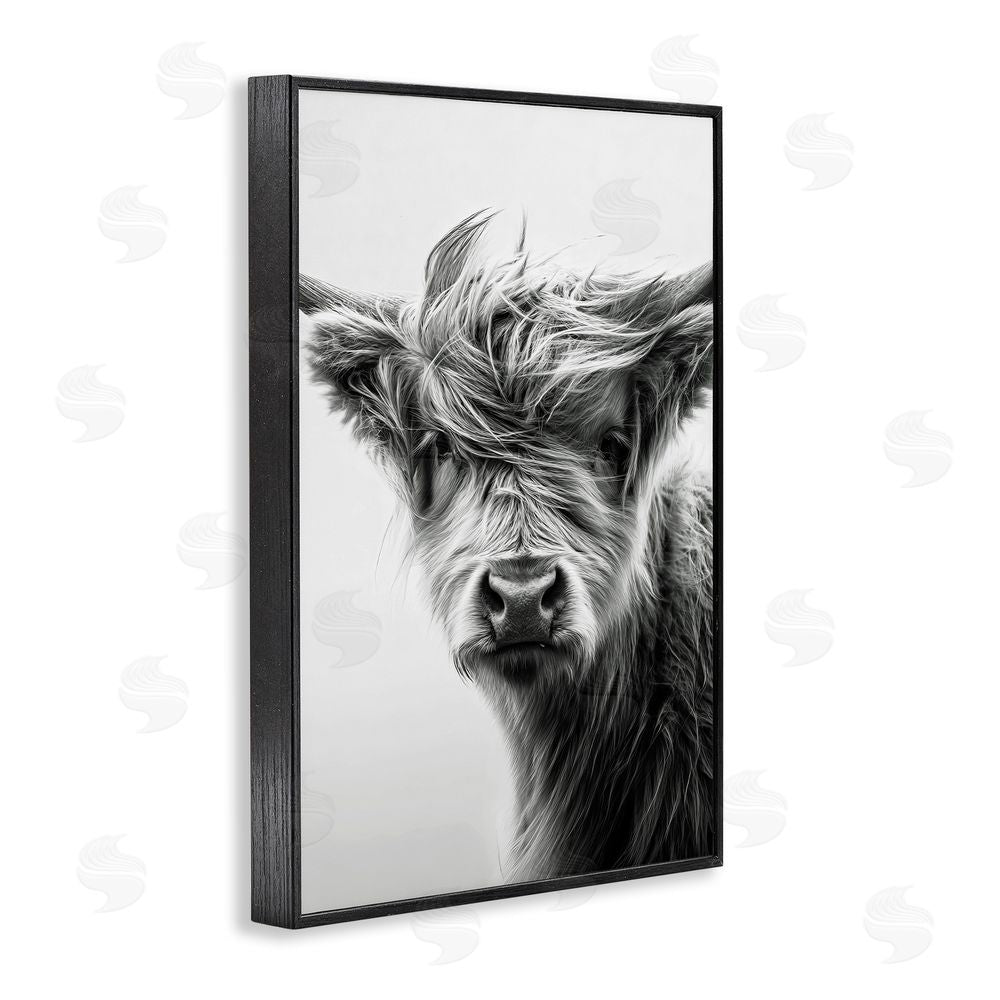 Tina LeCour Windblown Young Highland Calf Black Framed Giclee Wall Art Print