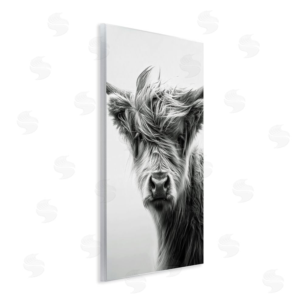 Tina LeCour Windblown Young Highland Calf Wooden Wall Plaque Art Print
