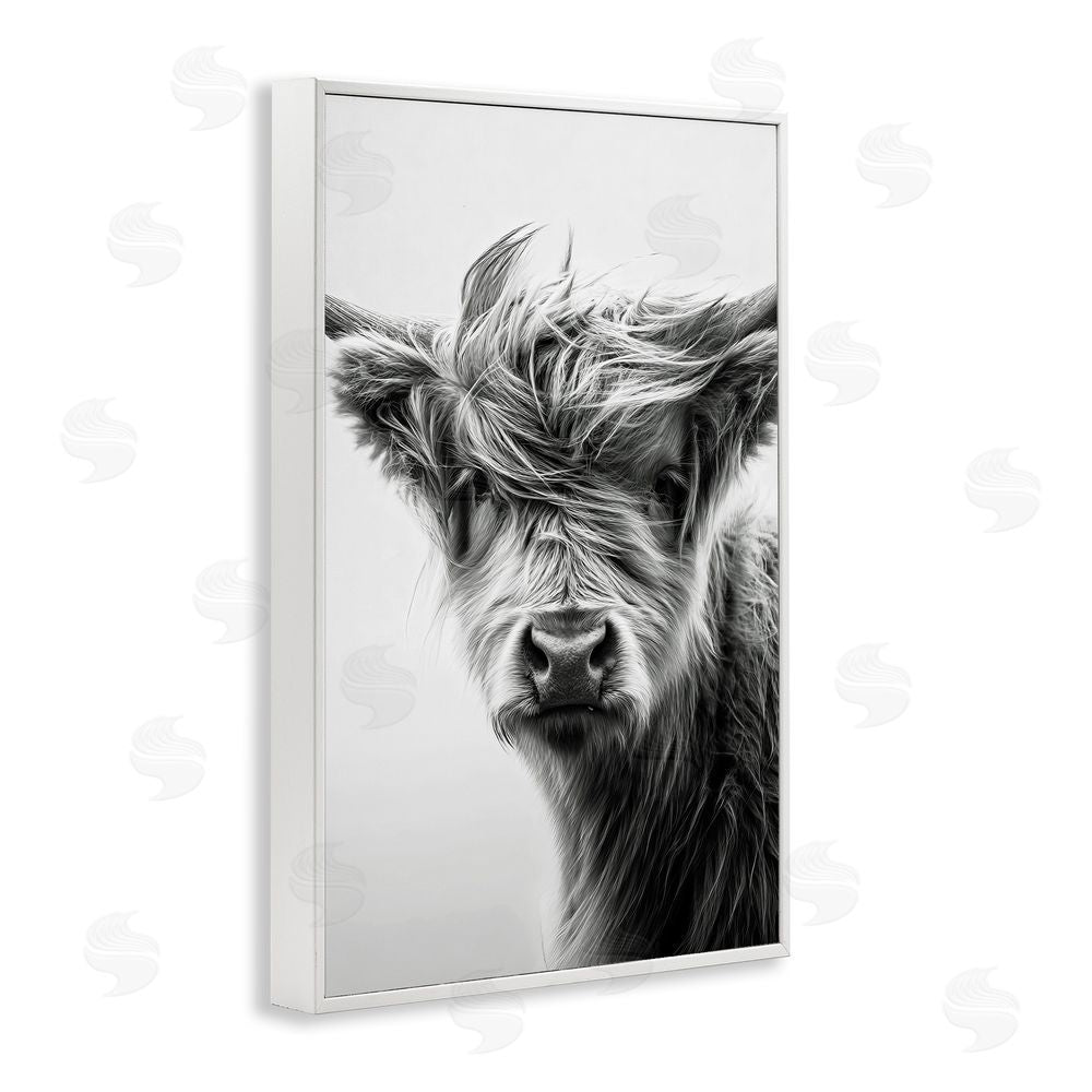 Tina LeCour Windblown Young Highland Calf White Framed Giclee Wall Art Print