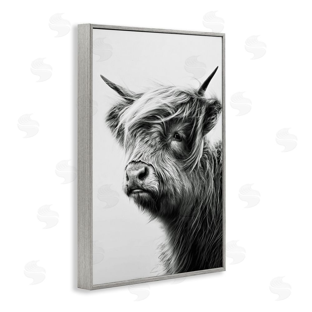 Tina LeCour Highland Cattle Young Calf Gray Framed Giclee Wall Art Print