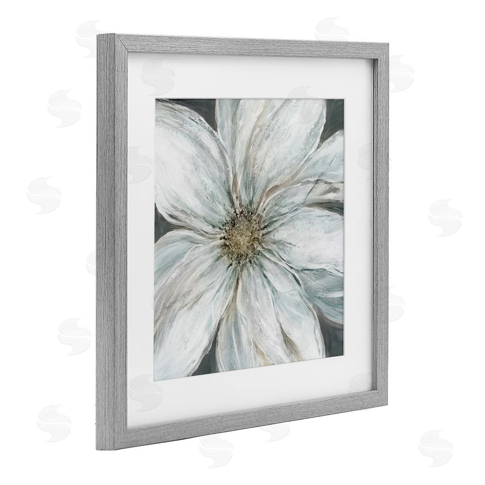 Carol Robinson Large White Flower Closeup Gray Framed Print Under Glass Wall Art