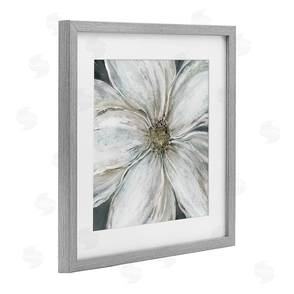Carol Robinson Closeup Serene White Blossom Gray Framed Print Under Glass Wall Art