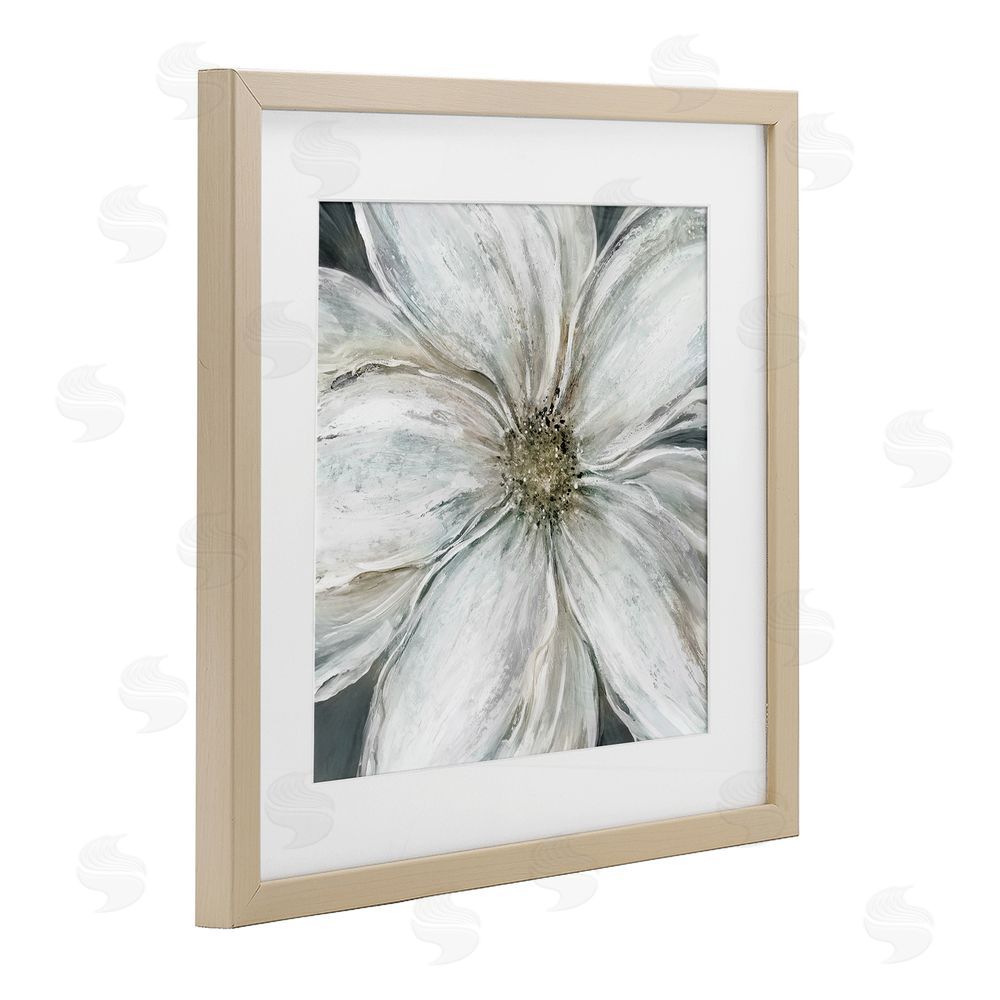 Carol Robinson Closeup Serene White Blossom Brown Framed Print Under Glass Wall Art