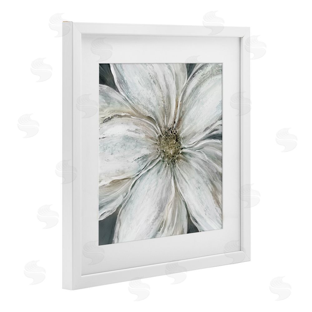 Carol Robinson Closeup Serene White Blossom White Framed Print Under Glass Wall Art