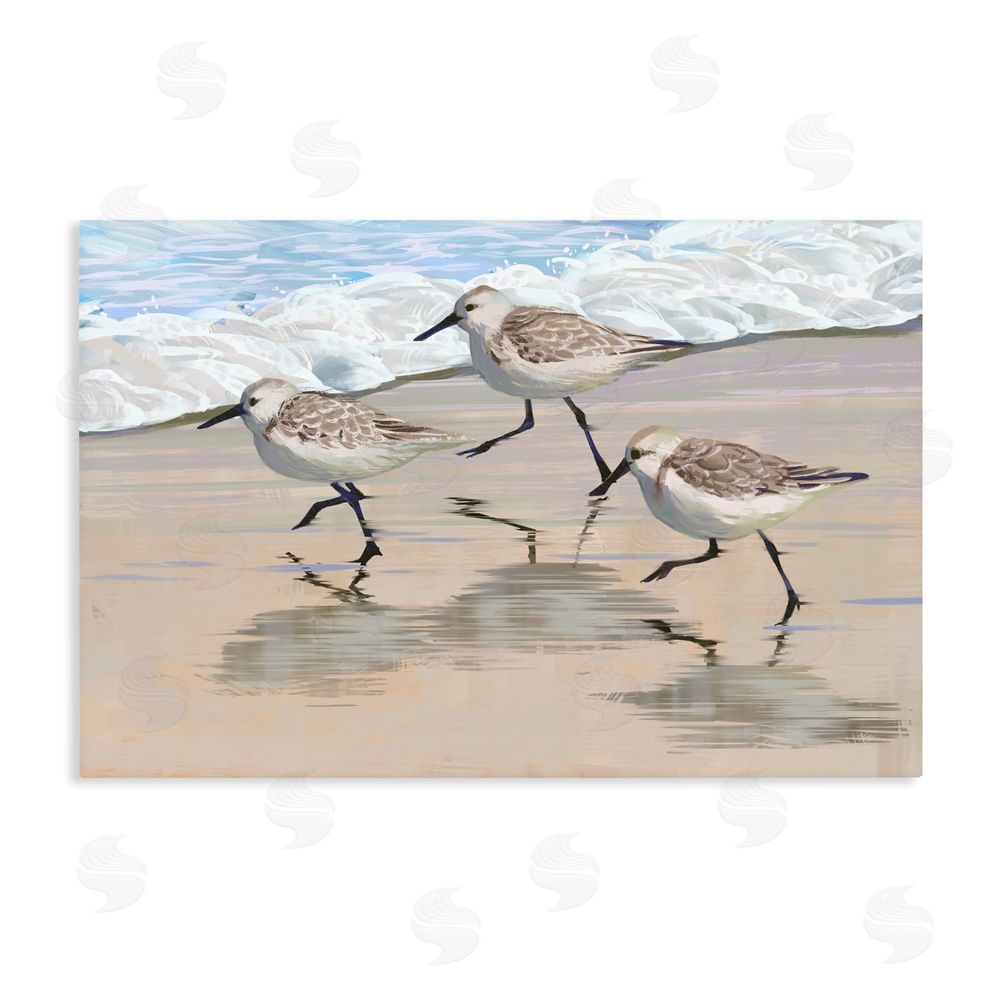 Ziwei Li Scurrying Sandpipers on Wet Sand Stretched Canvas Wall Art Print