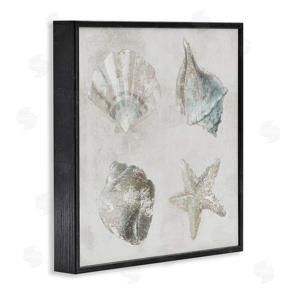 Lorenzo Collective Shoreline Treasures Shell Quartet Black Framed Giclee Wall Art Print