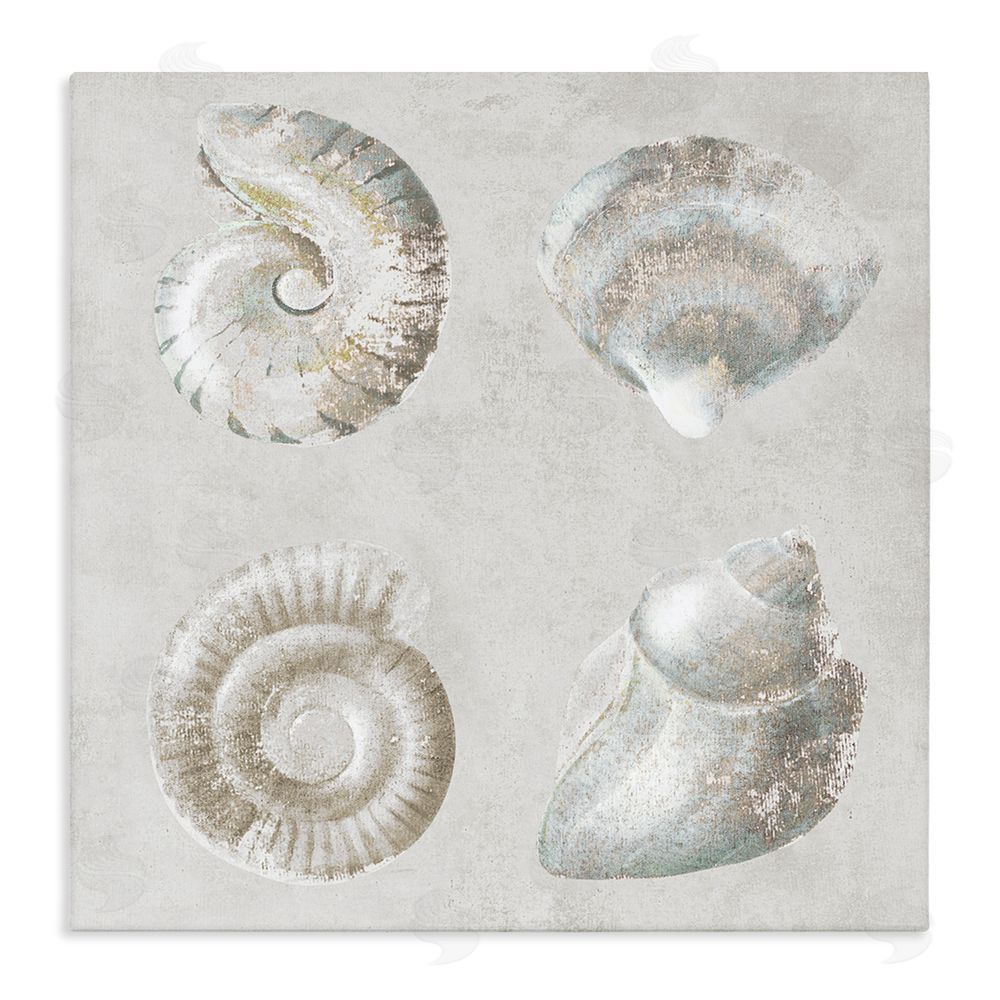 Lorenzo Collective Quartet of Seashells Stretched Canvas Wall Art Print