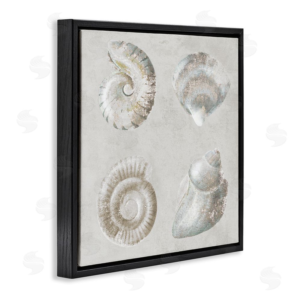 Lorenzo Collective Quartet of Seashells Black Floating Frame Canvas Wall Art Print