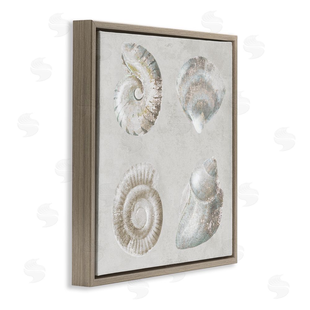 Lorenzo Collective Quartet of Seashells Brown Floating Frame Canvas Wall Art Print